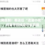全网抵制！看这位“流量小花”如何亲手毁掉自己的前程