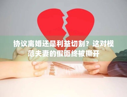 协议离婚还是利益切割?这对模范夫妻的假面终被撕开 协议离婚还是利益切割?这对模范夫妻的假面终被撕开